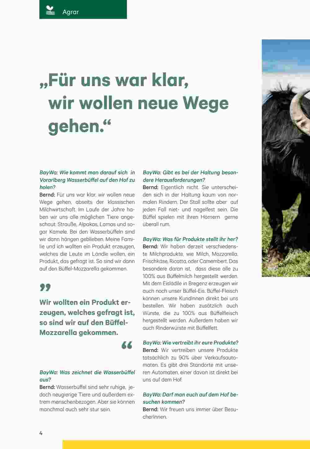 BayWa Flugblatt (ab 19.06.2023) - Angebote und Prospekt - Seite 4