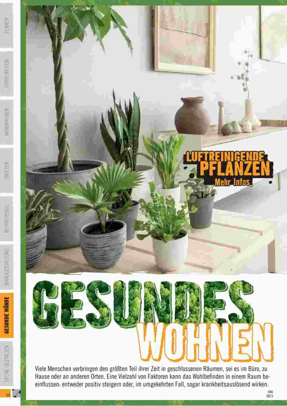 Hornbach Flugblatt (ab 14.08.2023) - Angebote und Prospekt - Seite 60