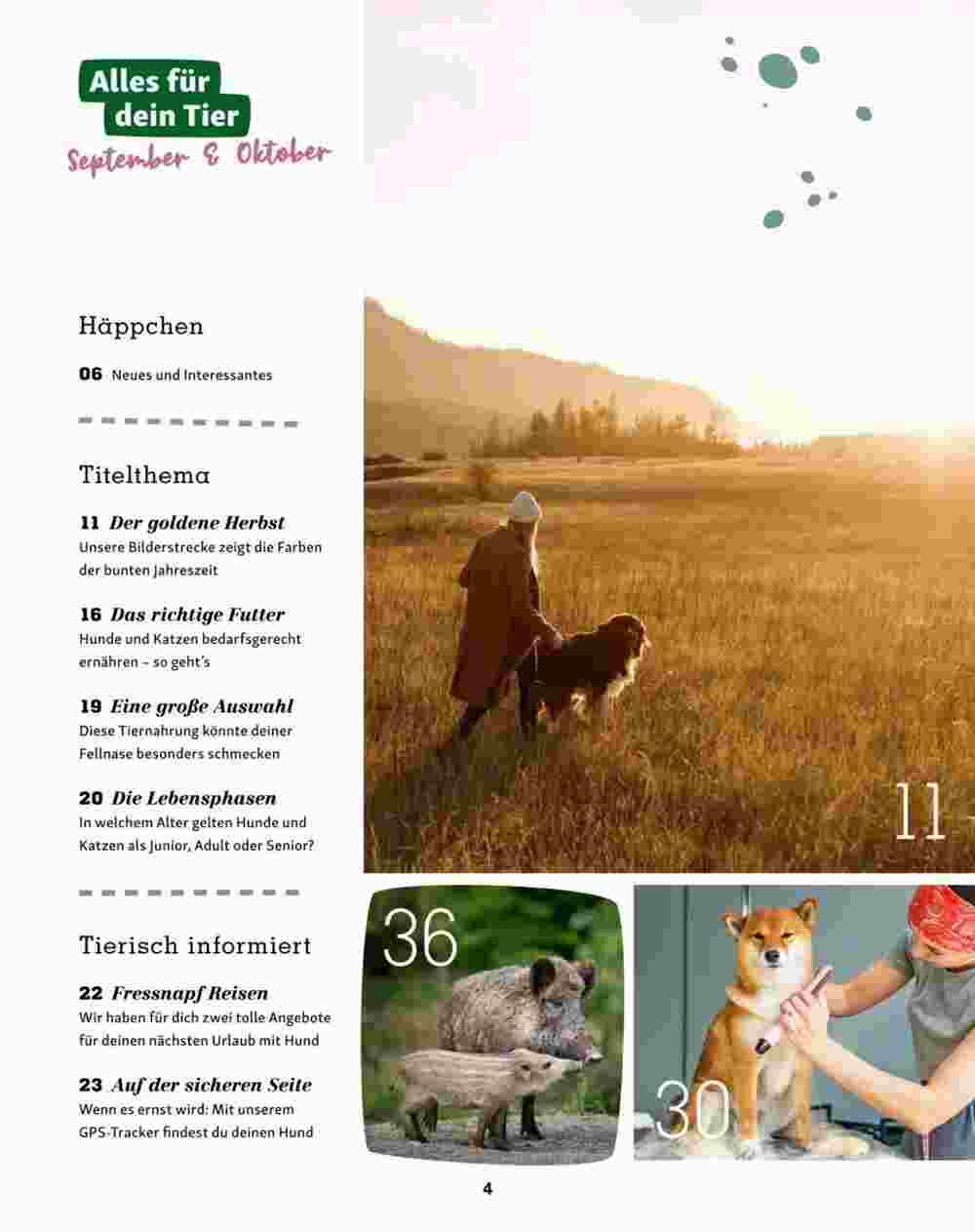 Fressnapf Flugblatt (ab 30.08.2023) - Angebote und Prospekt - Seite 4