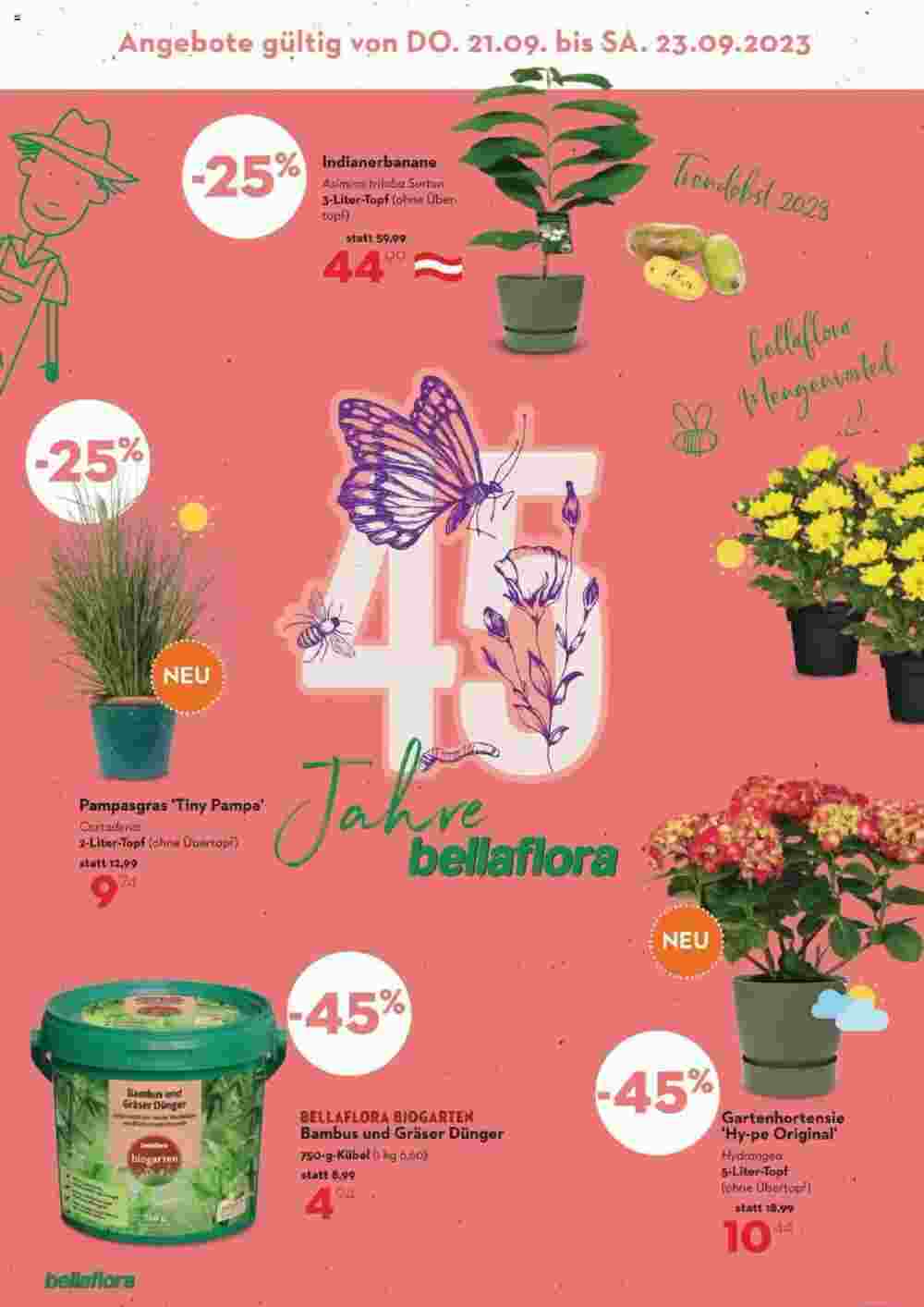 Bellaflora Flugblatt (ab 07.09.2023) - Angebote und Prospekt - Seite 8