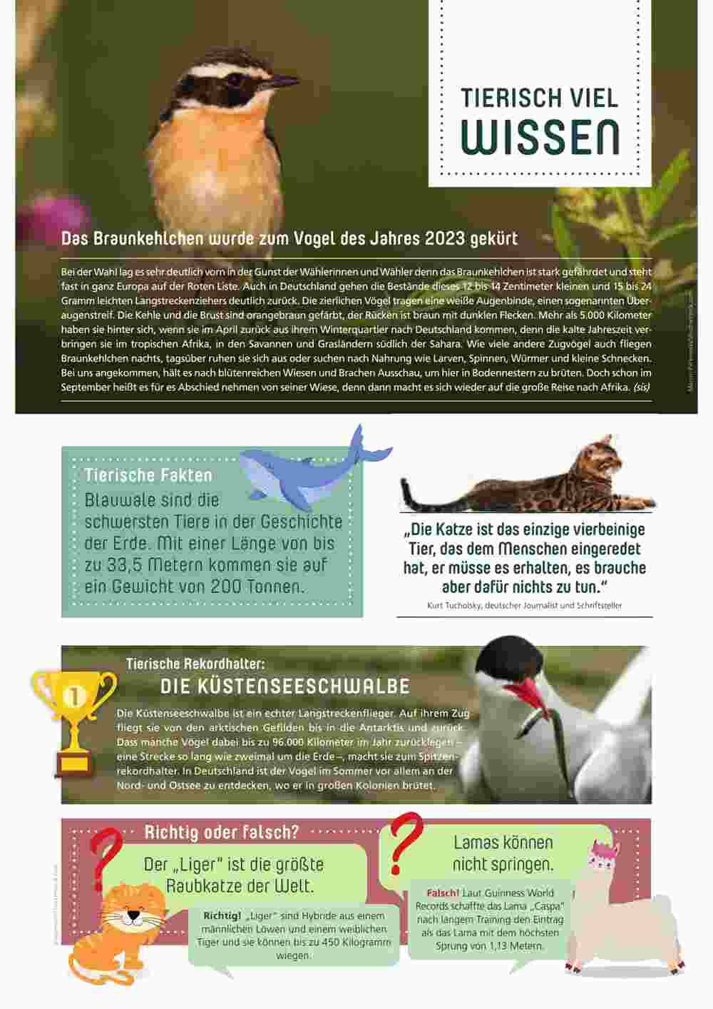 ZOO & Co Flugblatt (ab 25.09.2023) - Angebote und Prospekt - Seite 3