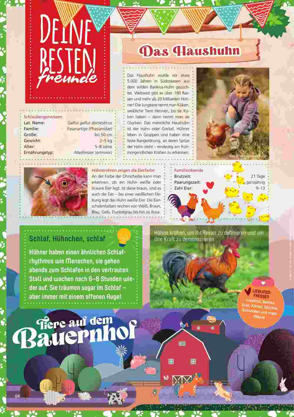 ZOO & Co Flugblatt (ab 25.09.2023) - Angebote und Prospekt - Seite 64