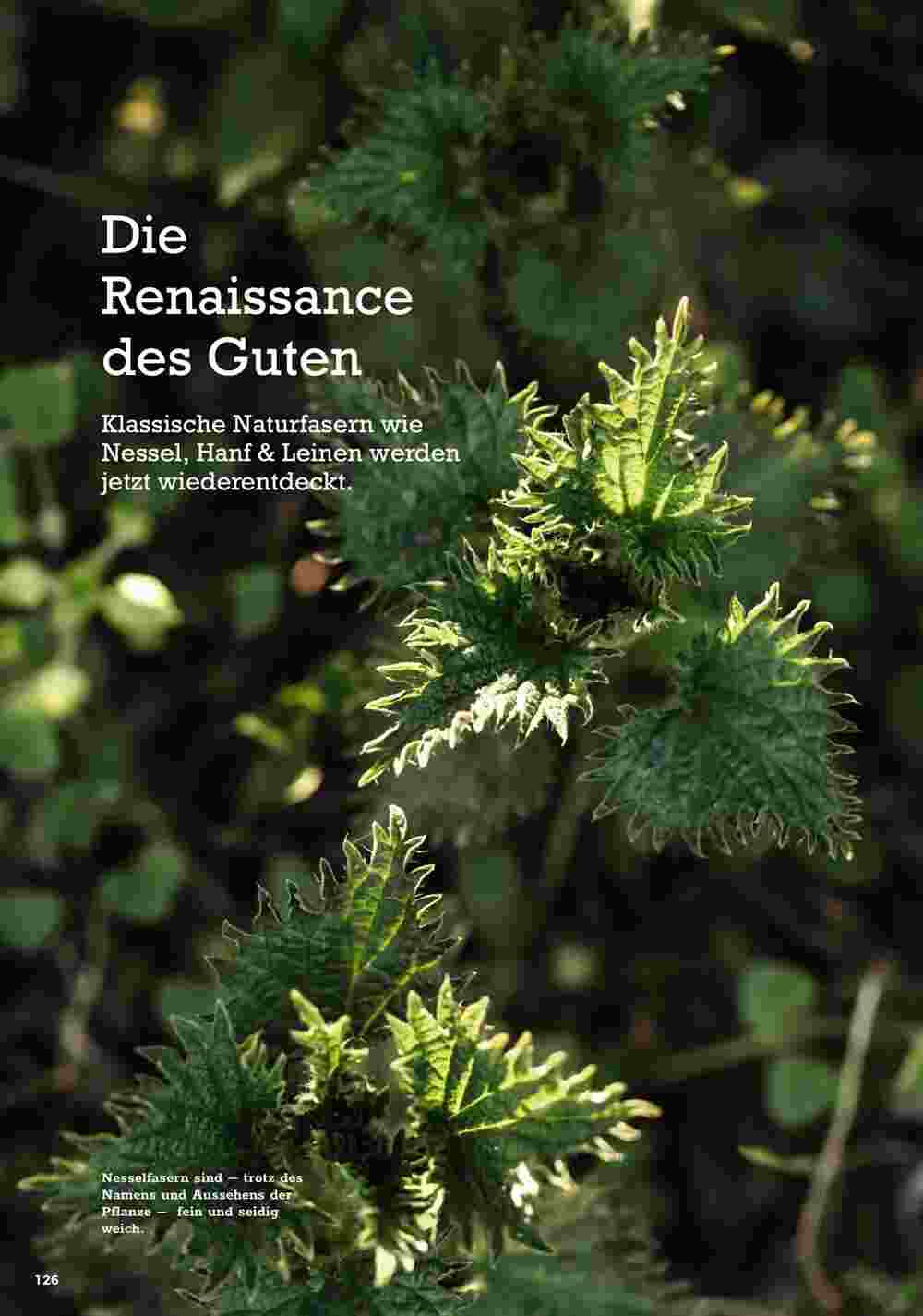 Grüne Erde Flugblatt (ab 27.09.2023) - Angebote und Prospekt - Seite 124