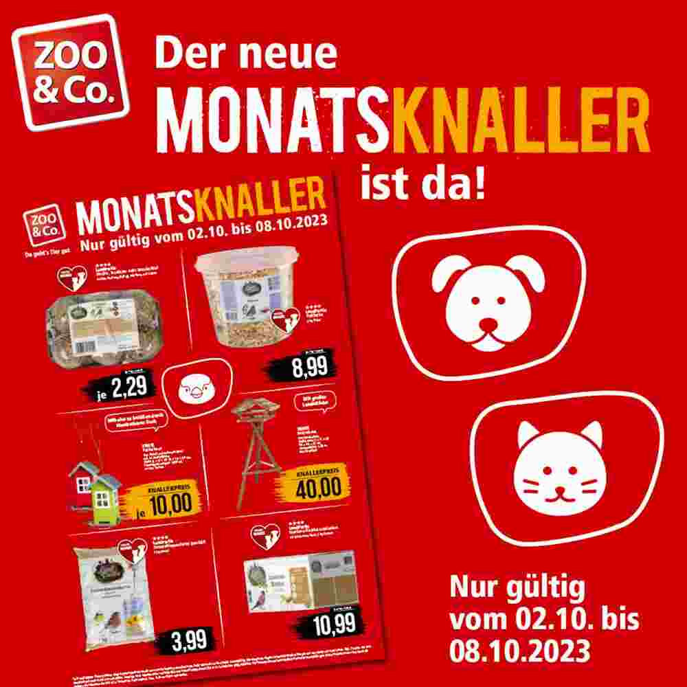 ZOO & Co Flugblatt (ab 03.10.2023) - Angebote und Prospekt - Seite 1