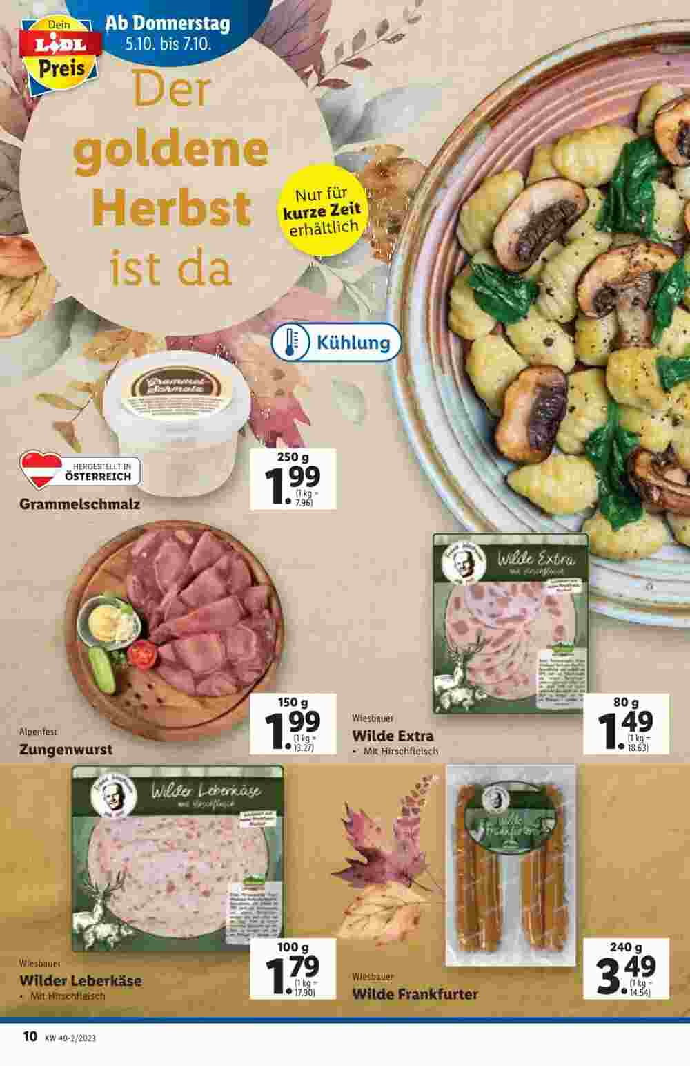 Lidl Flugblatt (ab 04.10.2023) - Angebote und Prospekt - Seite 10