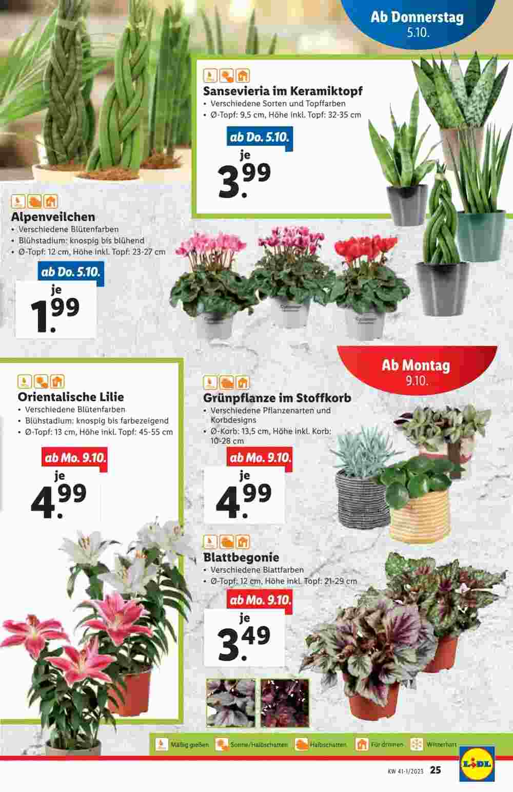 Lidl Flugblatt (ab 04.10.2023) - Angebote und Prospekt - Seite 27