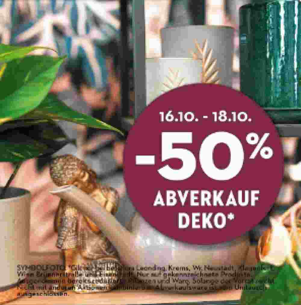 Bellaflora Flugblatt (ab 16.10.2023) - Angebote und Prospekt - Seite 2