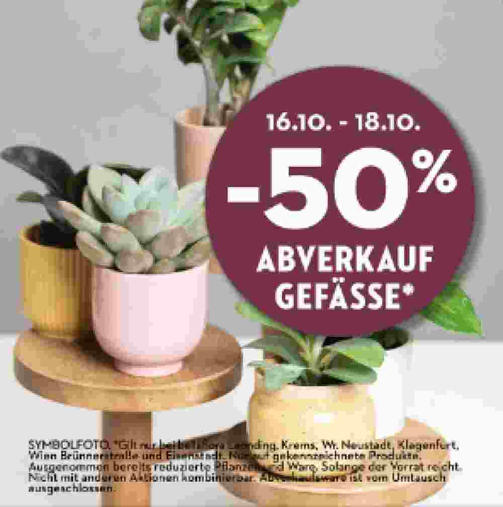 Bellaflora Flugblatt (ab 16.10.2023) - Angebote und Prospekt - Seite 4