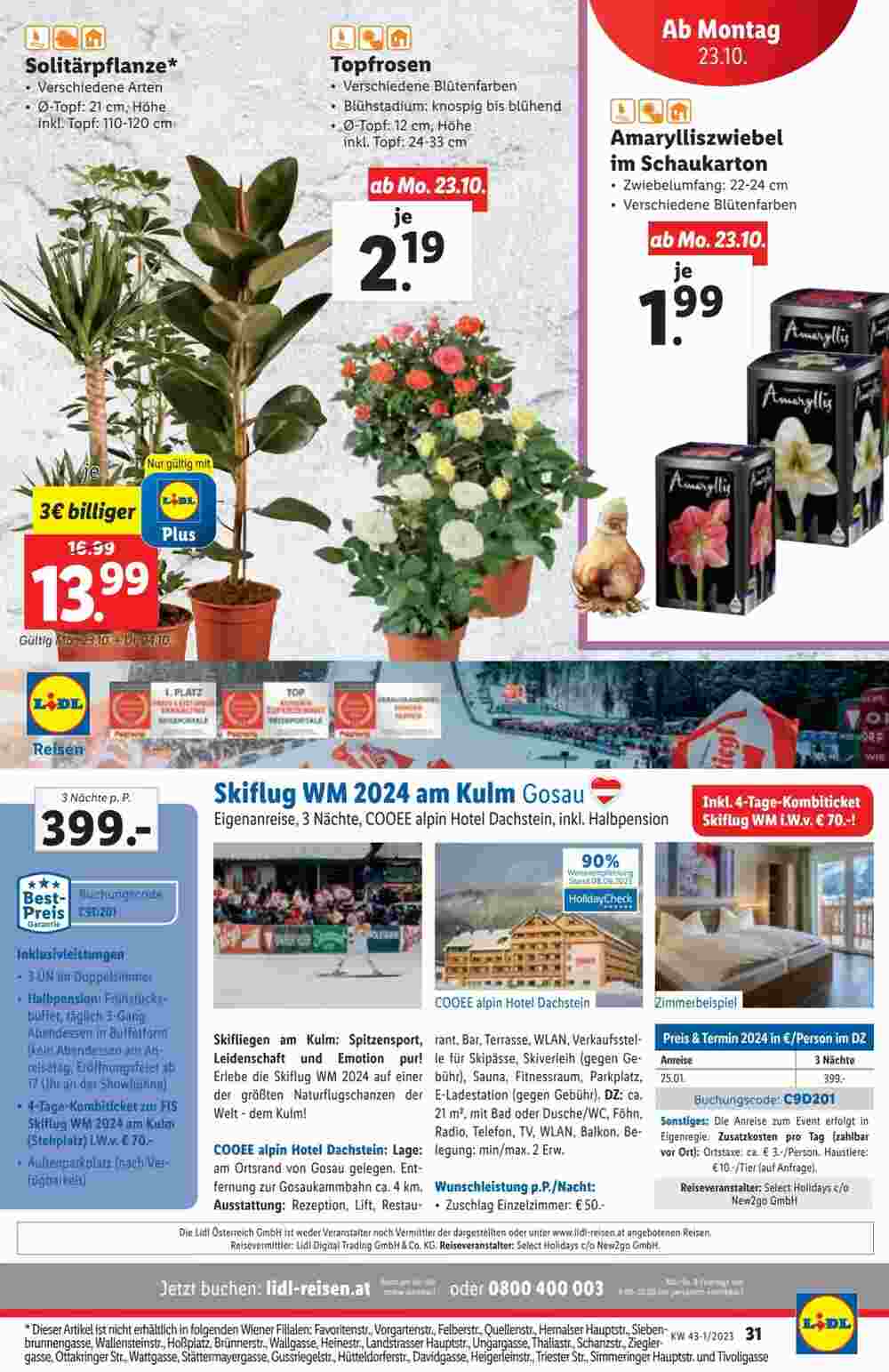 Lidl Flugblatt (ab 18.10.2023) - Angebote und Prospekt - Seite 31