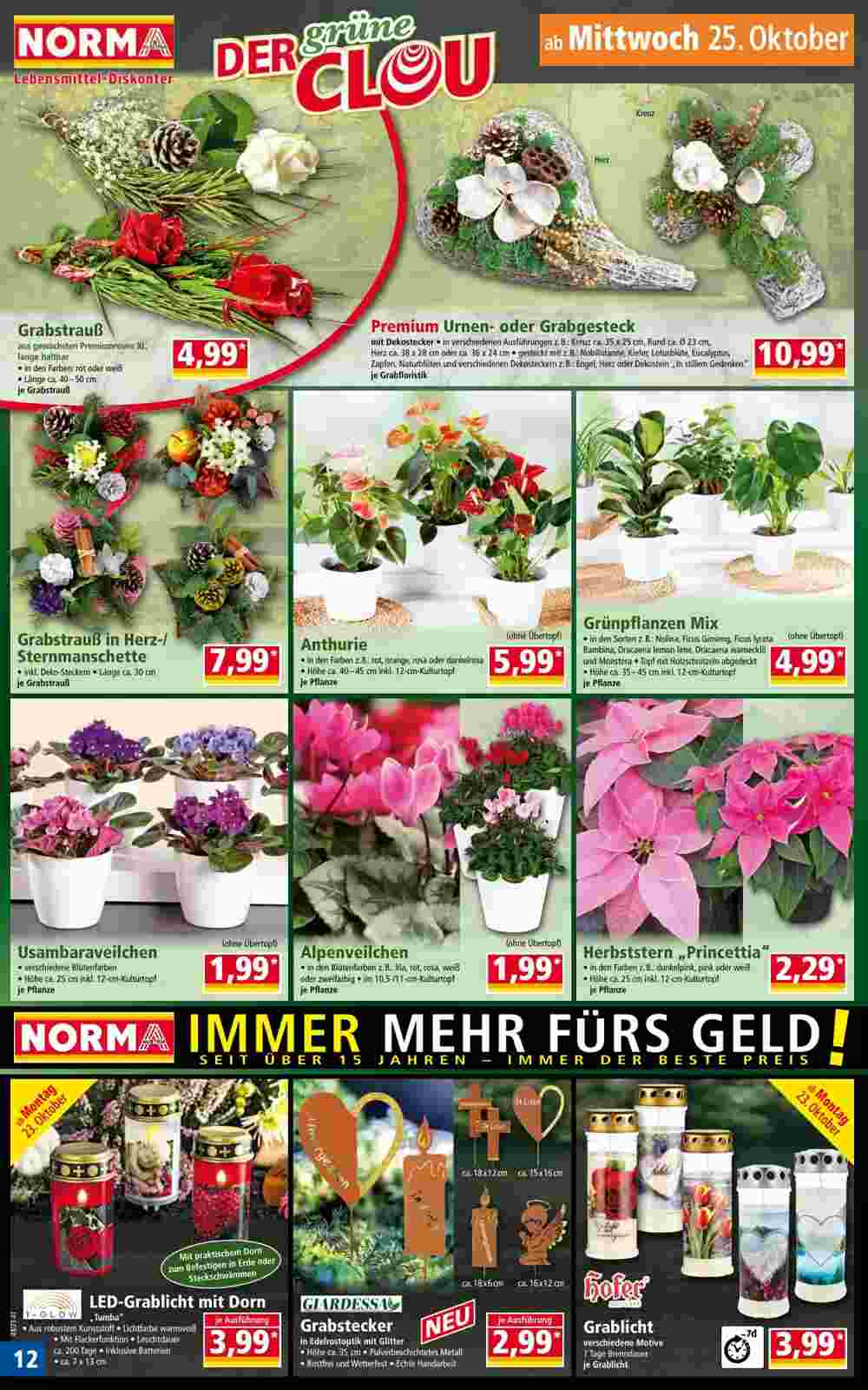 Norma Flugblatt (ab 22.10.2023) - Angebote und Prospekt - Seite 12