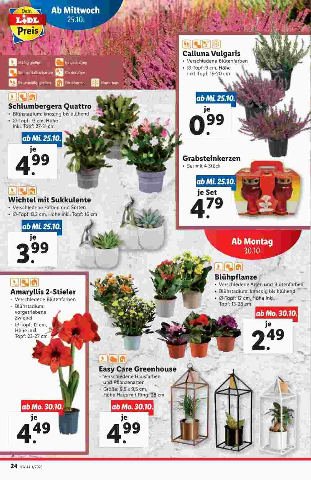 Lidl Flugblatt (ab 25.10.2023) - Angebote und Prospekt - Seite 24