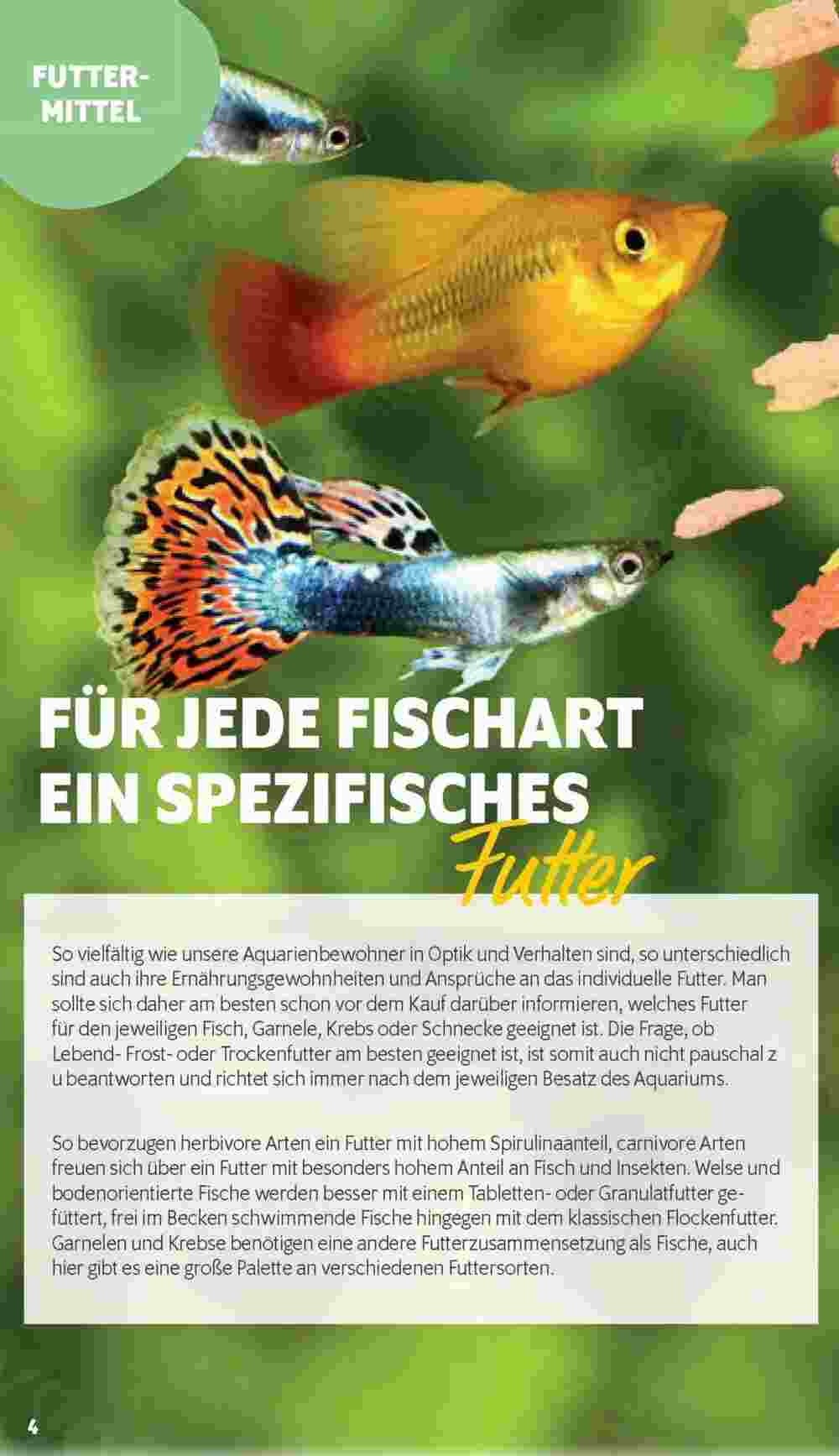 Das Futterhaus Flugblatt (ab 27.10.2023) - Angebote und Prospekt - Seite 7