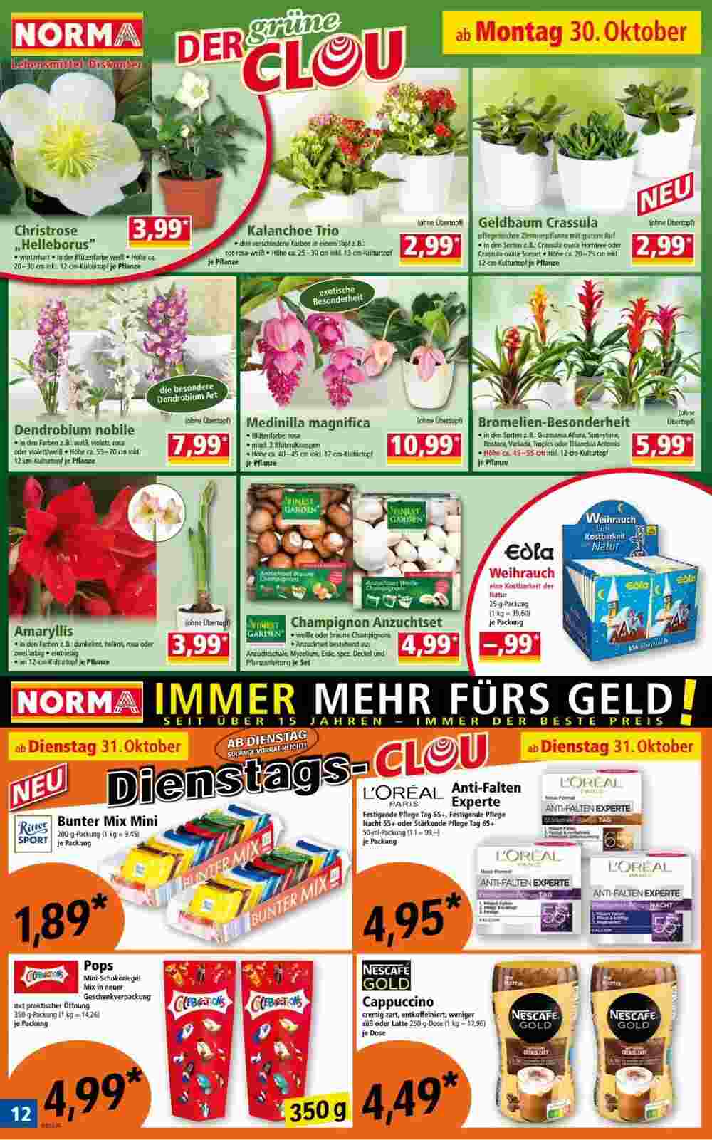 Norma Flugblatt (ab 30.10.2023) - Angebote und Prospekt - Seite 12