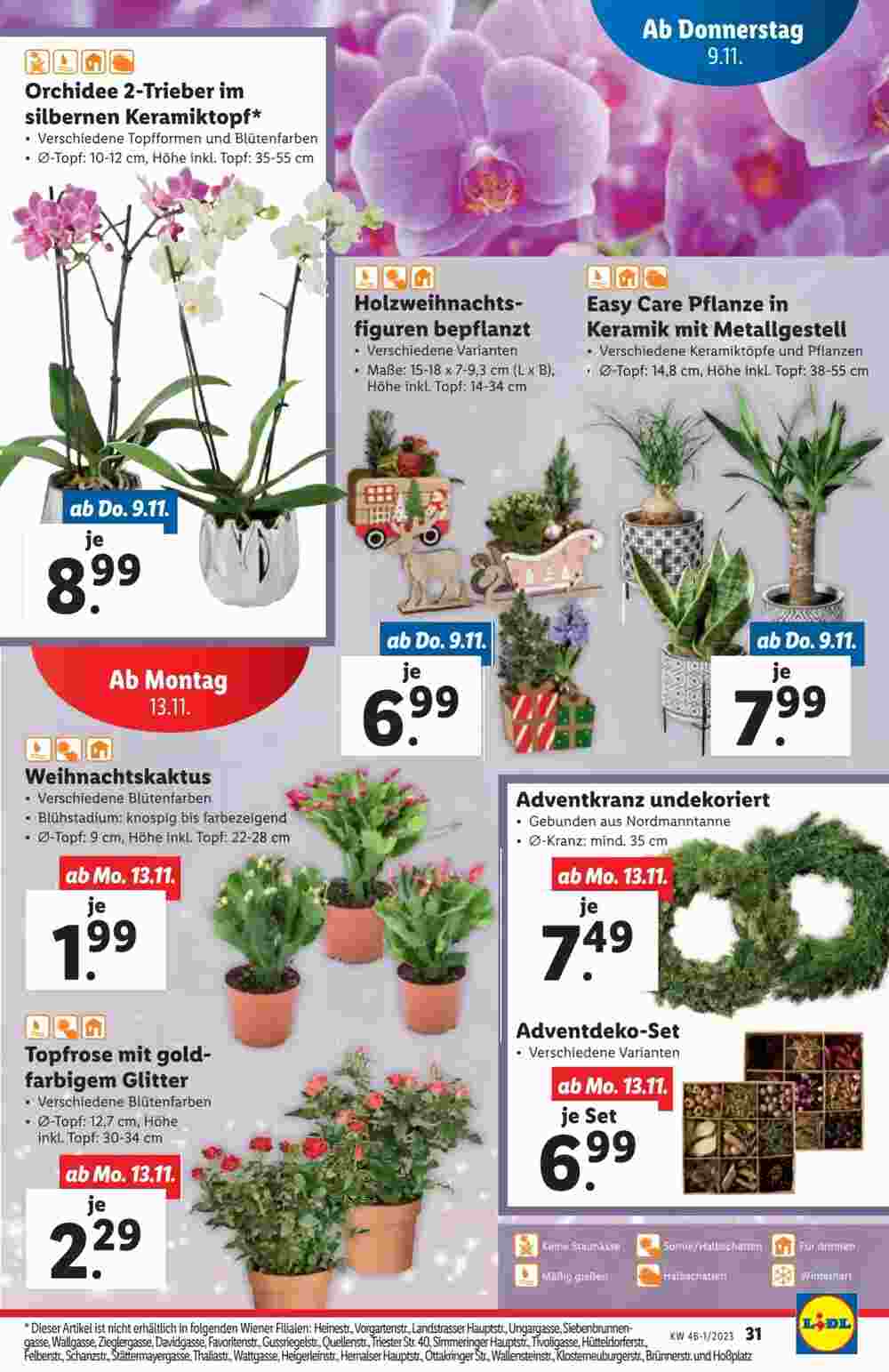 Lidl Flugblatt (ab 08.11.2023) - Angebote und Prospekt - Seite 31