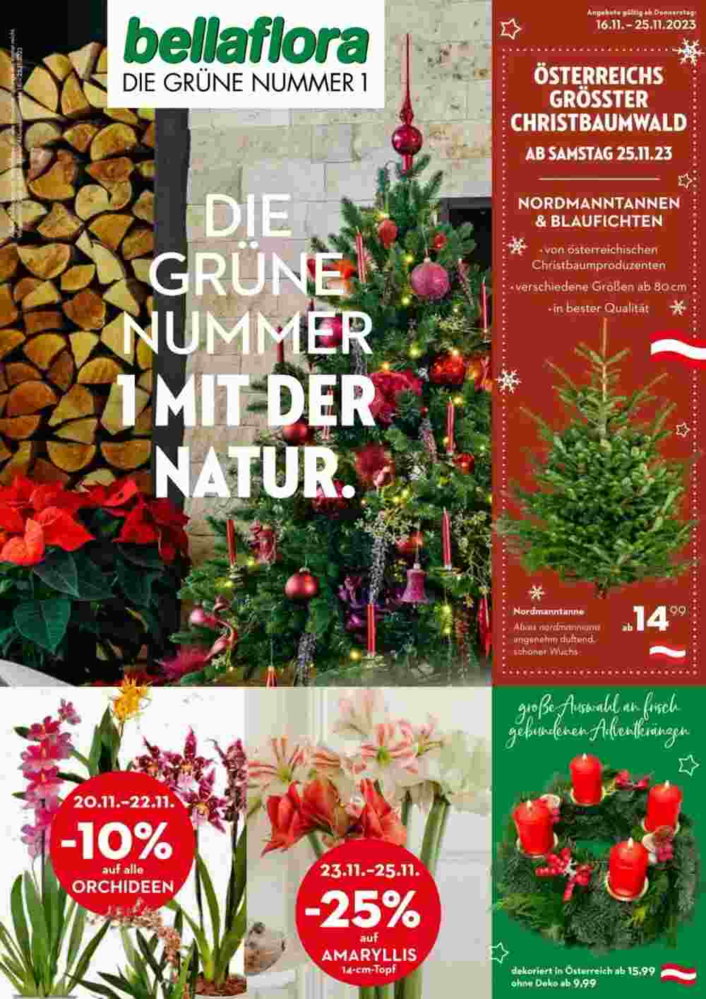 Bellaflora Flugblatt (ab 15.11.2023) - Angebote und Prospekt - Seite 1