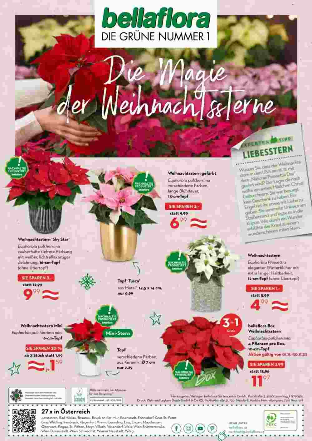 Bellaflora Flugblatt (ab 15.11.2023) - Angebote und Prospekt - Seite 12