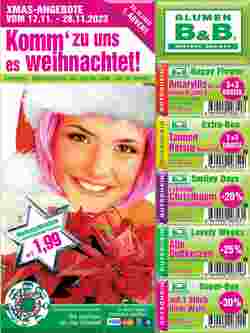 Blumen B&B Flugblatt (ab 16.11.2023) - Angebote und Prospekt