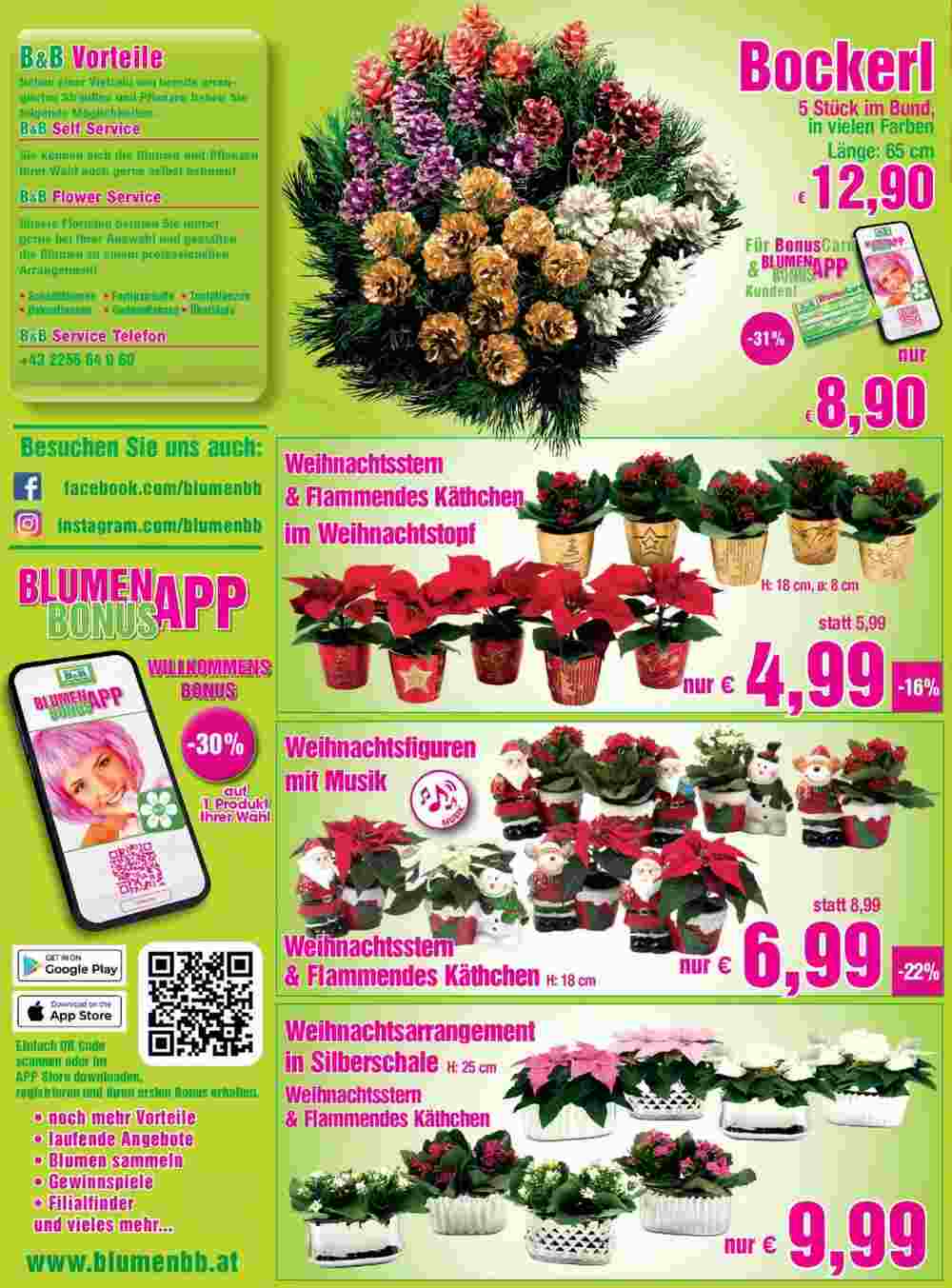 Blumen B&B Flugblatt (ab 16.11.2023) - Angebote und Prospekt - Seite 3