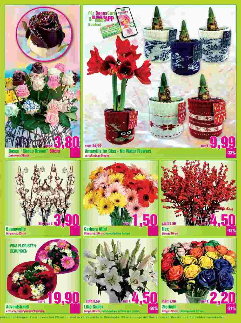 Blumen B&B Flugblatt (ab 16.11.2023) - Angebote und Prospekt - Seite 4