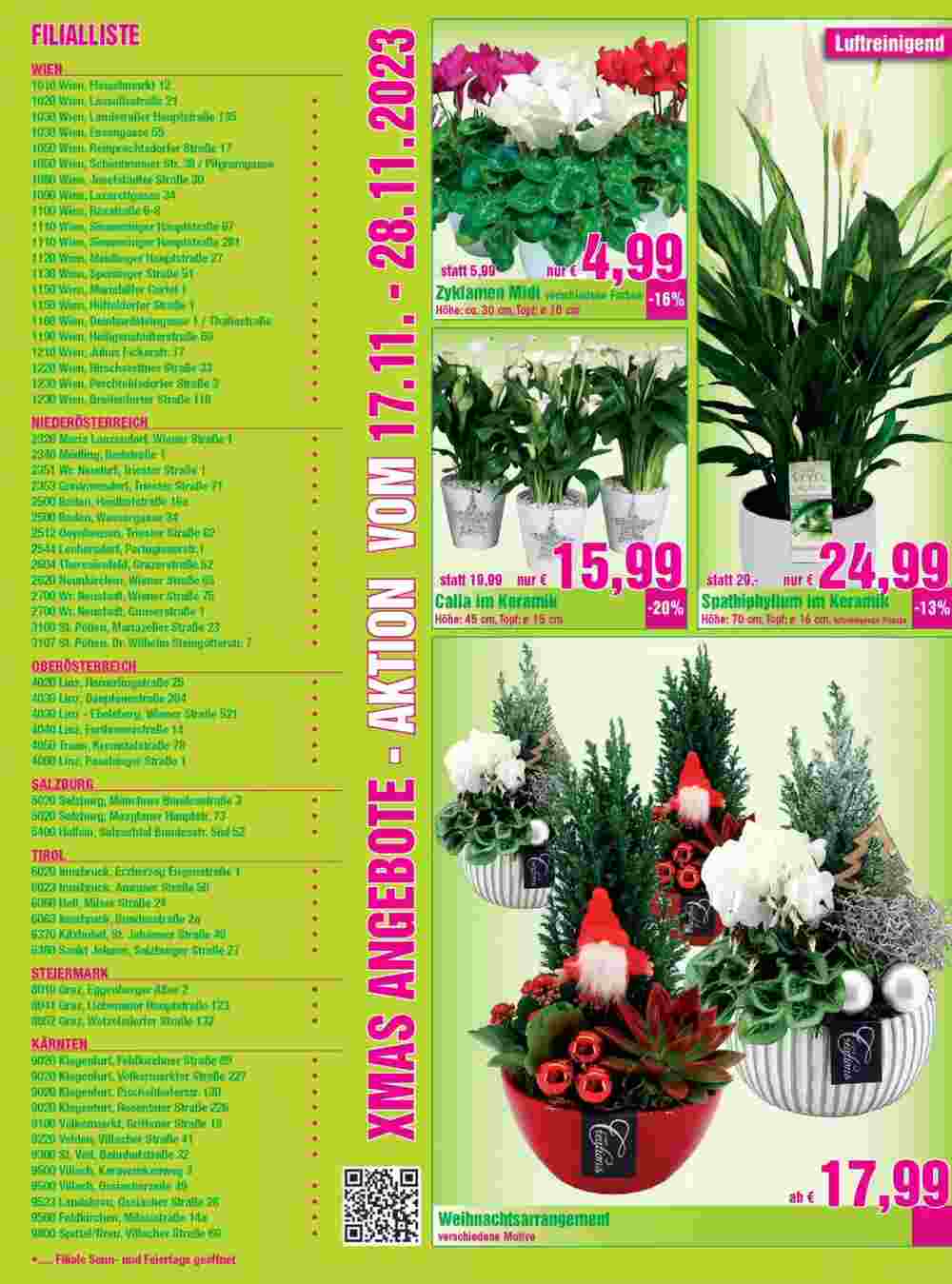 Blumen B&B Flugblatt (ab 16.11.2023) - Angebote und Prospekt - Seite 6