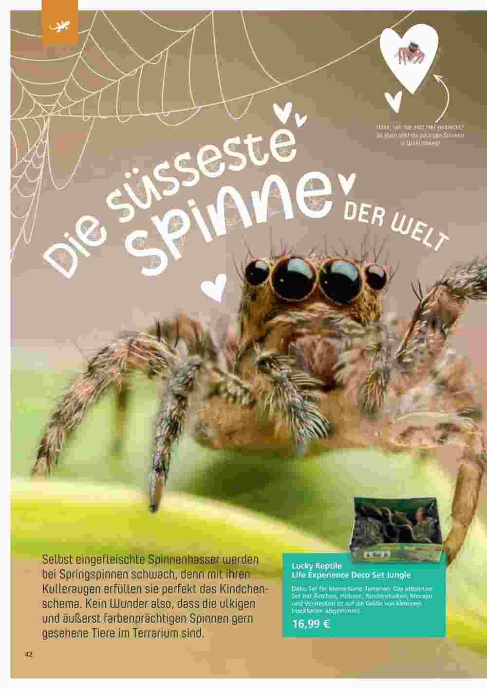 ZOO & Co Flugblatt (ab 30.11.2023) - Angebote und Prospekt - Seite 42