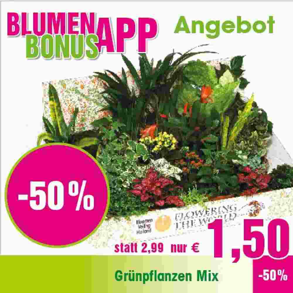 Blumen B&B Flugblatt (ab 15.12.2023) - Angebote und Prospekt - Seite 2