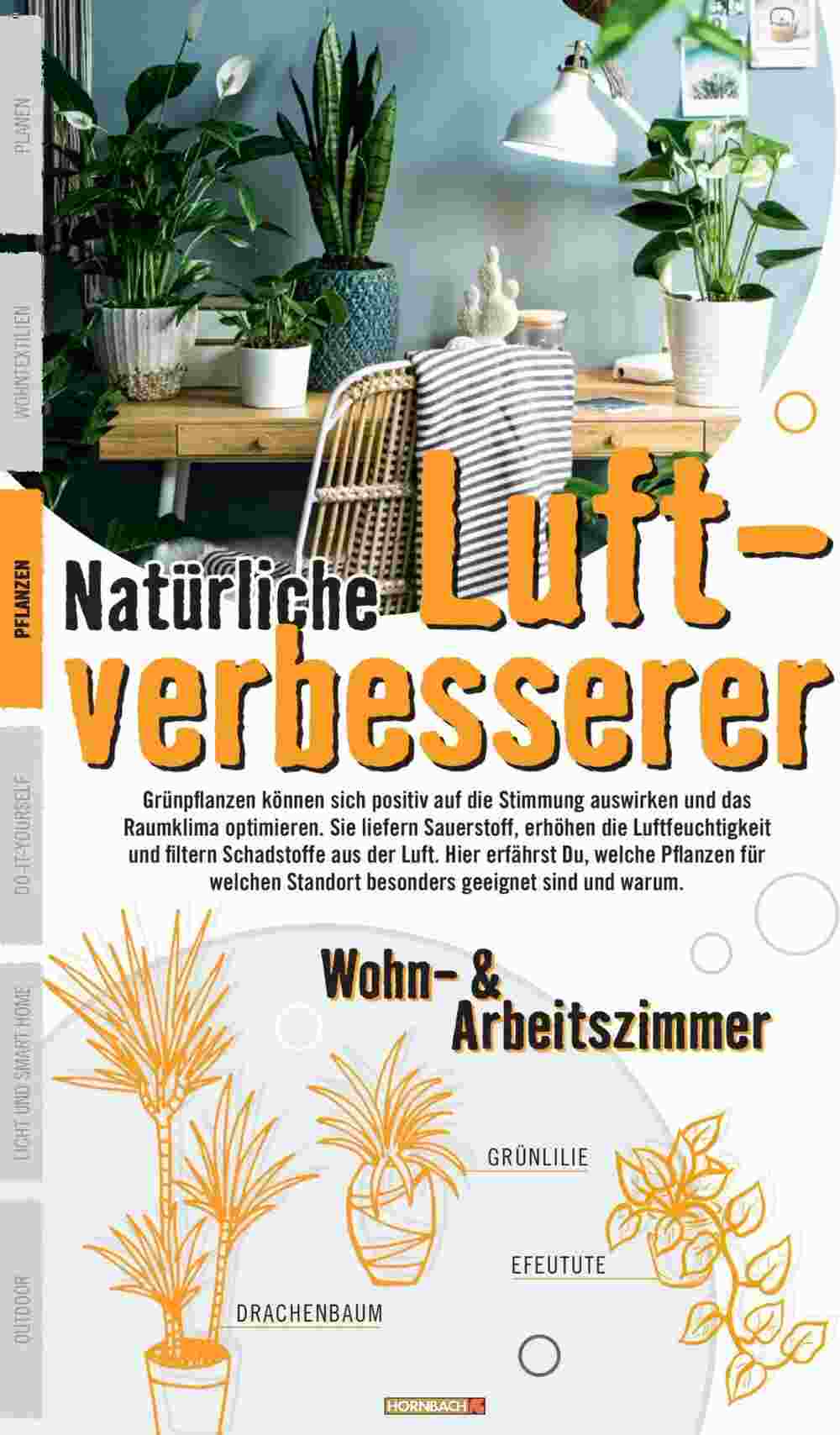 Hornbach Flugblatt (ab 12.01.2024) - Angebote und Prospekt - Seite 20