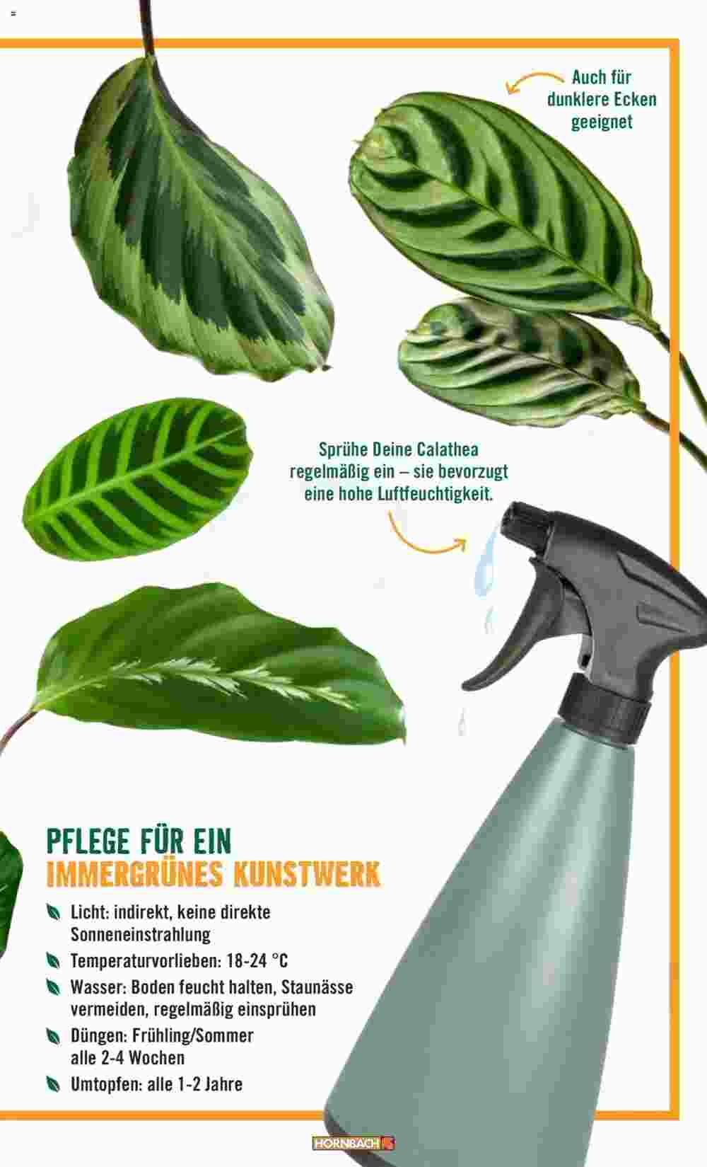 Hornbach Flugblatt (ab 12.01.2024) - Angebote und Prospekt - Seite 23