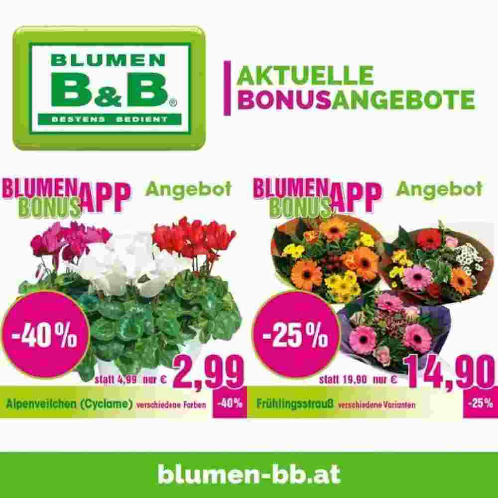 Blumen B&B Flugblatt (ab 25.01.2024) - Angebote Und Prospekt ...