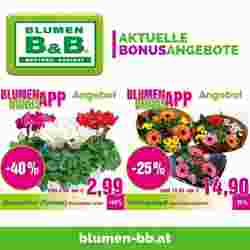 Blumen B&B Flugblatt (ab 25.01.2024) - Angebote und Prospekt