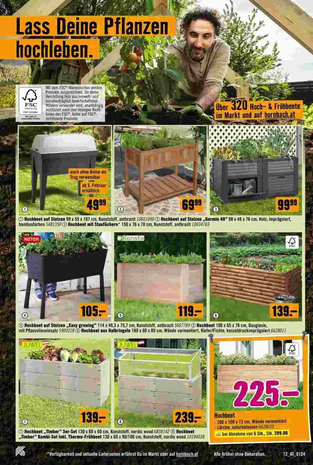 Hornbach Flugblatt (ab 29.01.2024) - Angebote und Prospekt - Seite 12