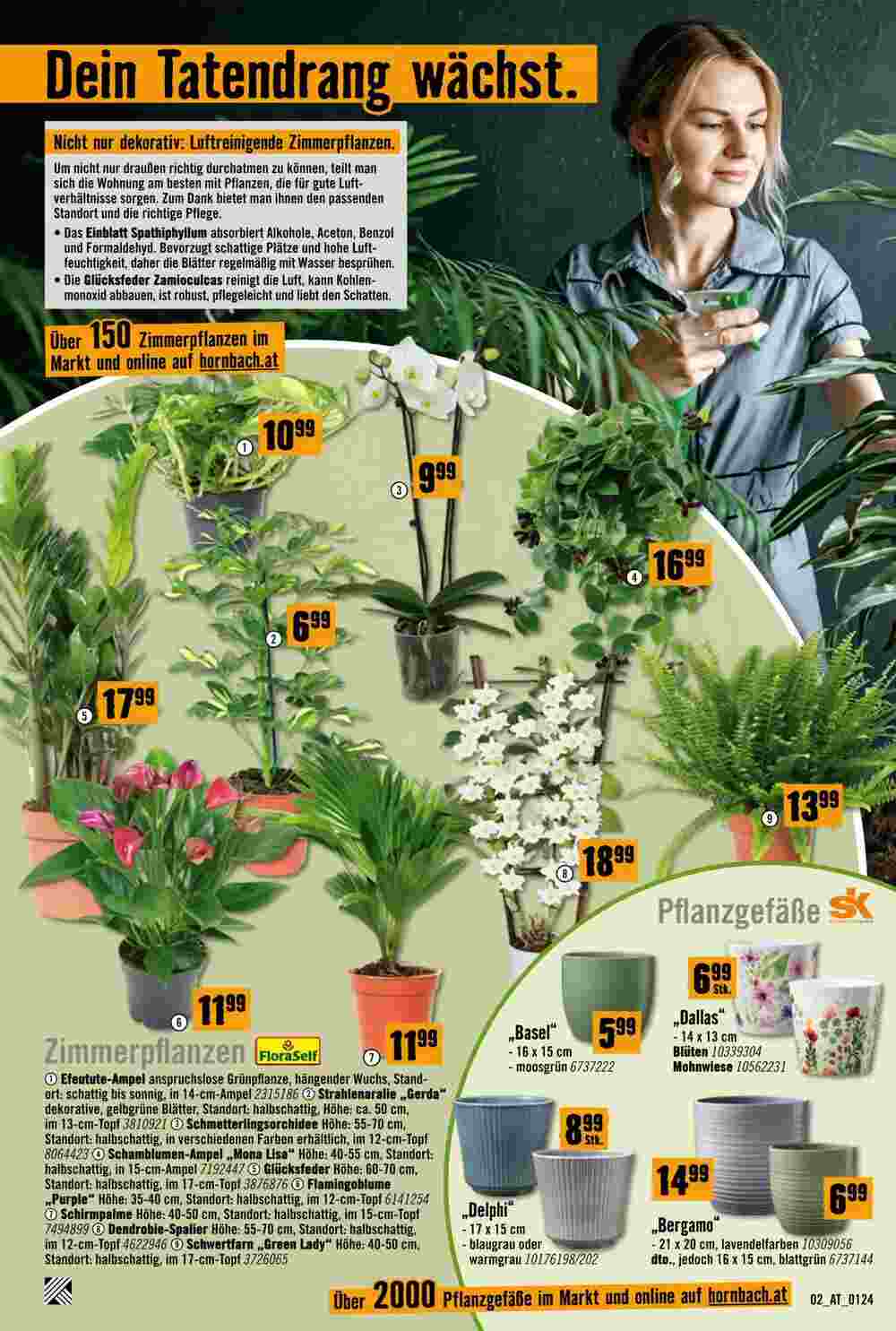 Hornbach Flugblatt (ab 29.01.2024) - Angebote und Prospekt - Seite 2