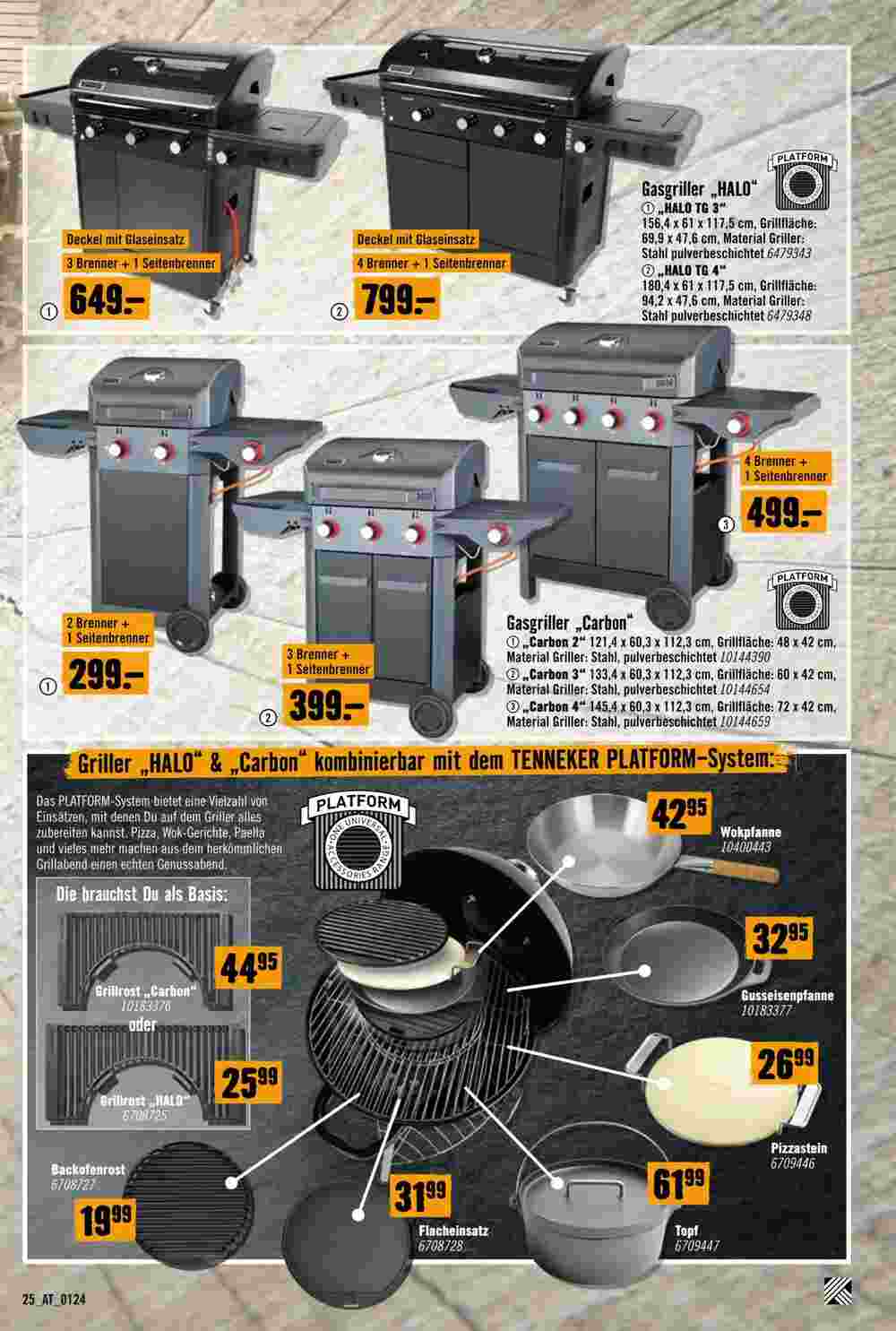 Hornbach Flugblatt (ab 29.01.2024) - Angebote und Prospekt - Seite 25