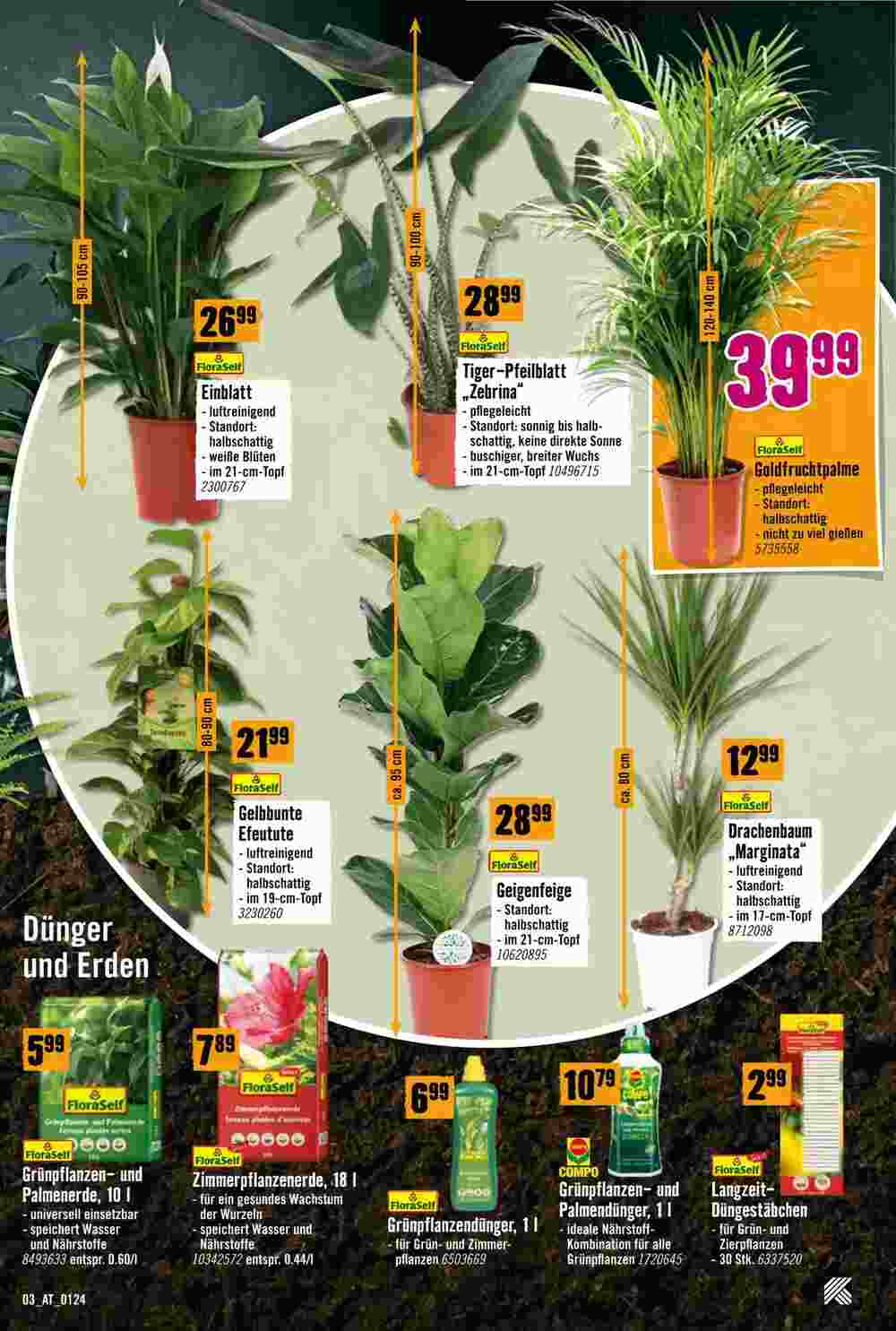 Hornbach Flugblatt (ab 29.01.2024) - Angebote und Prospekt - Seite 3