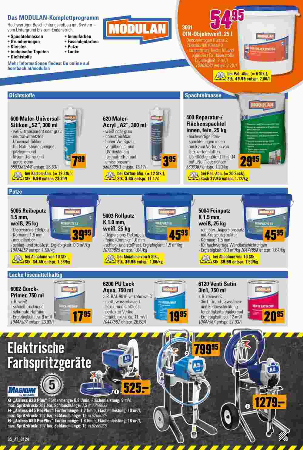 Hornbach Flugblatt (ab 29.01.2024) - Angebote und Prospekt - Seite 5