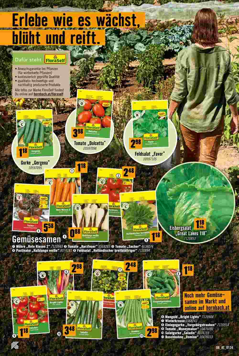 Hornbach Flugblatt (ab 29.01.2024) - Angebote und Prospekt - Seite 8