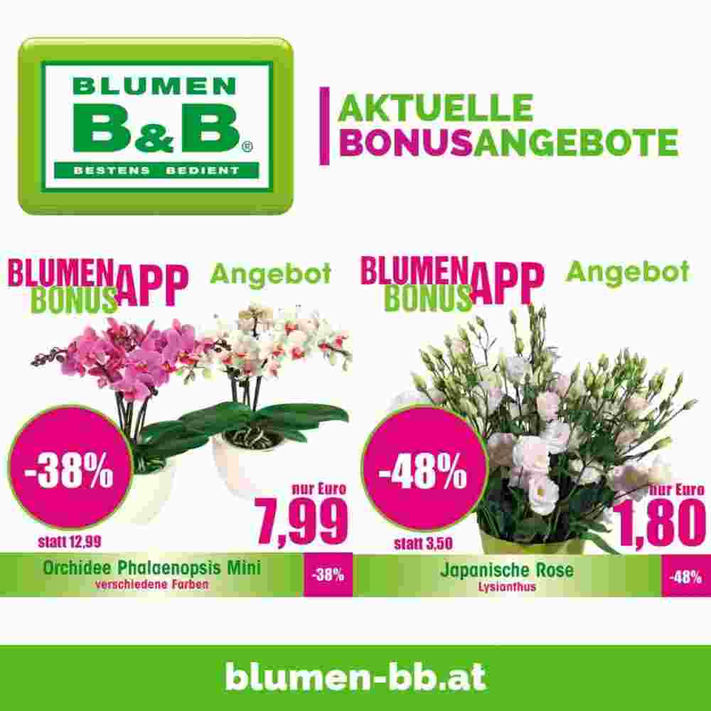 Blumen B&B Flugblatt (ab 21.02.2024) - Angebote und Prospekt - Seite 1