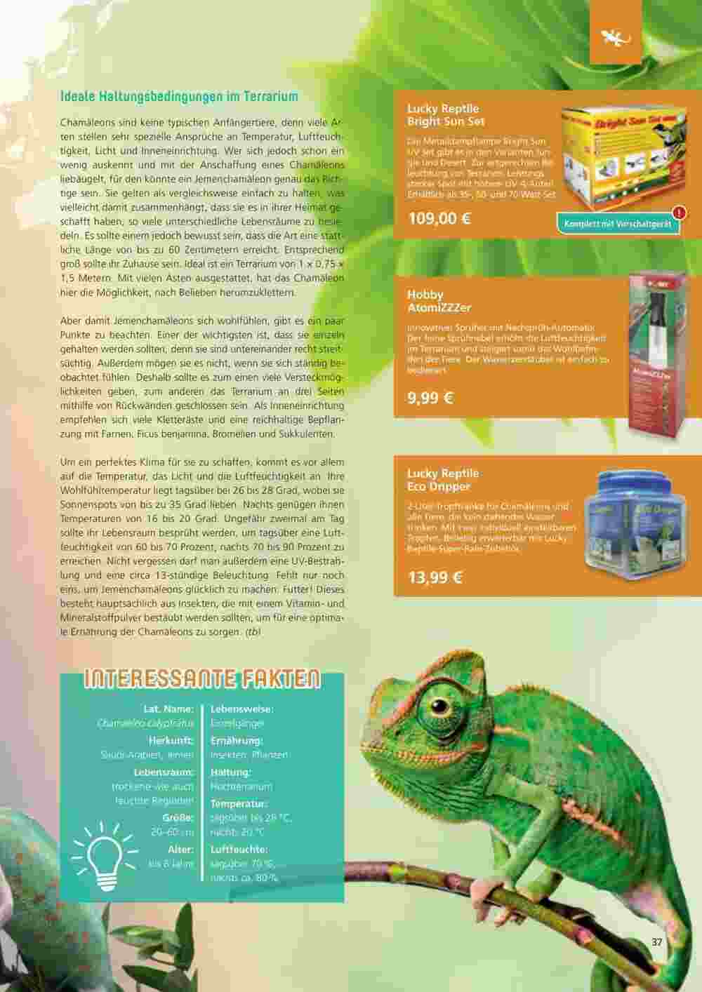 ZOO & Co Flugblatt (ab 29.02.2024) - Angebote und Prospekt - Seite 37