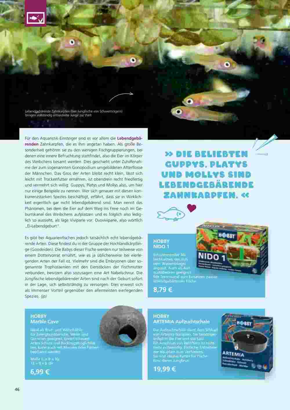 ZOO & Co Flugblatt (ab 29.02.2024) - Angebote und Prospekt - Seite 46