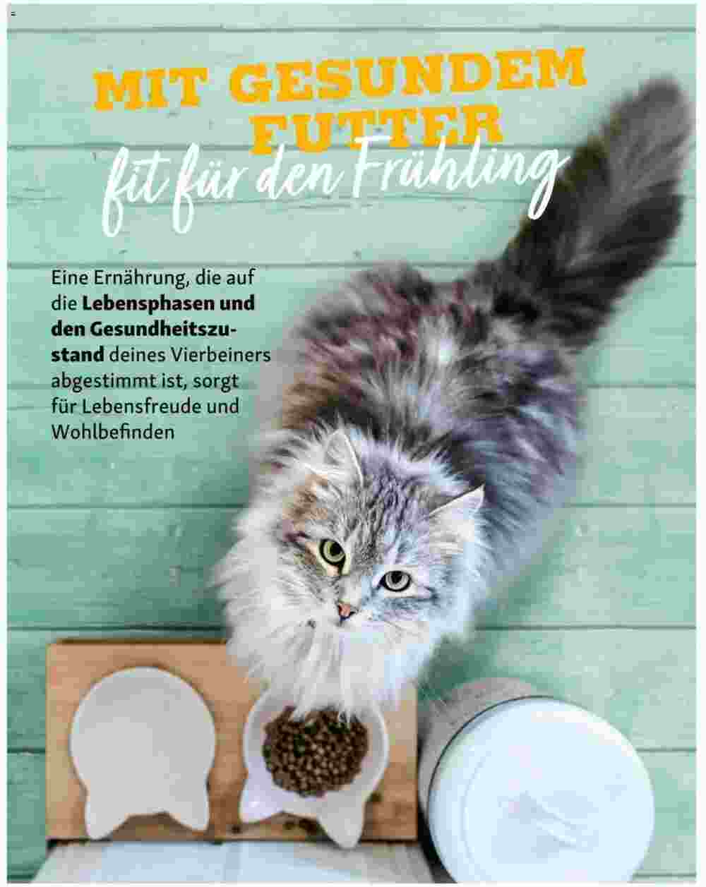 Fressnapf Flugblatt (ab 01.03.2024) - Angebote und Prospekt - Seite 16