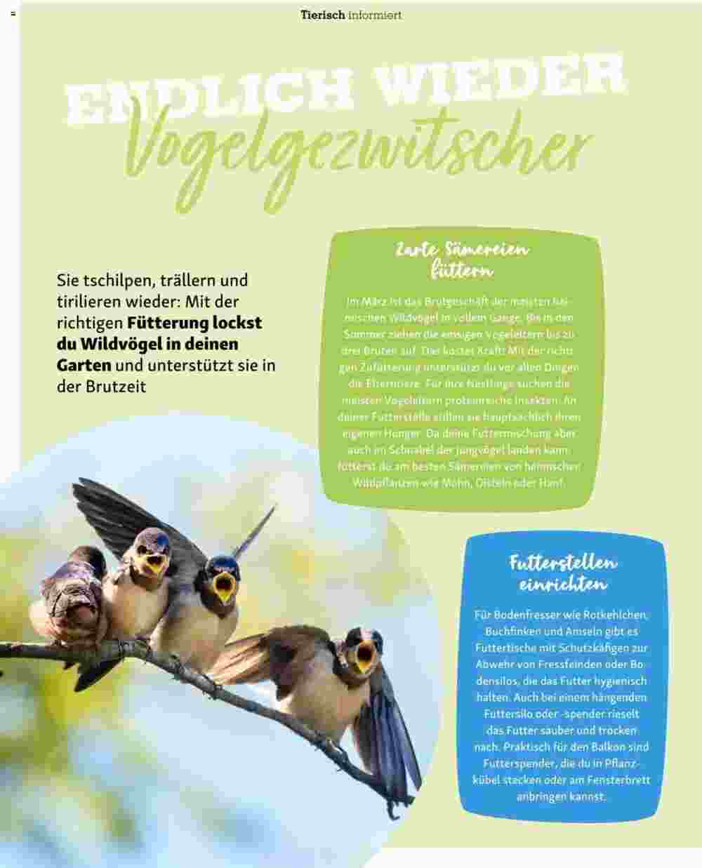 Fressnapf Flugblatt (ab 01.03.2024) - Angebote und Prospekt - Seite 30