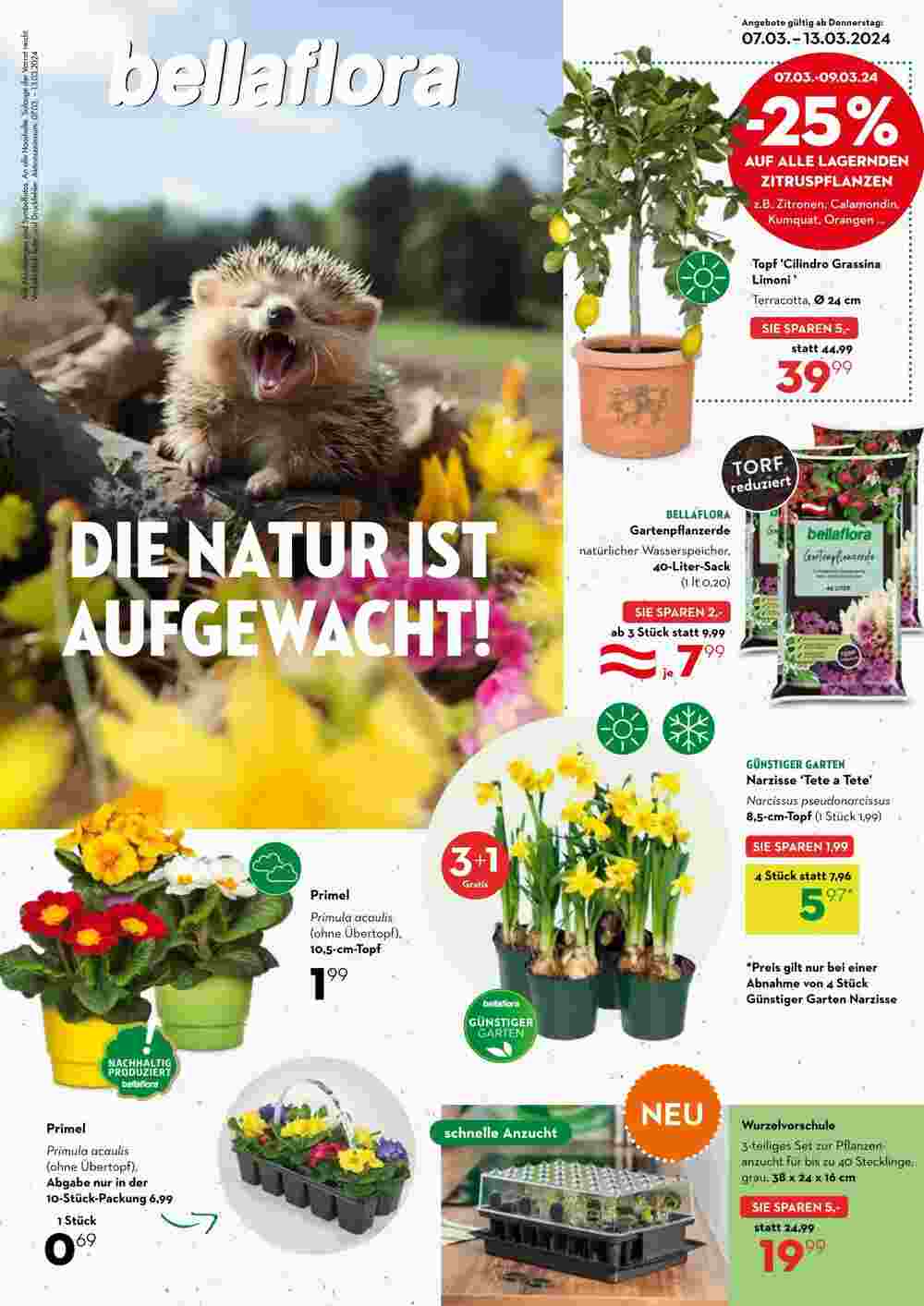 Bellaflora Flugblatt (ab 07.03.2024) - Angebote und Prospekt - Seite 1