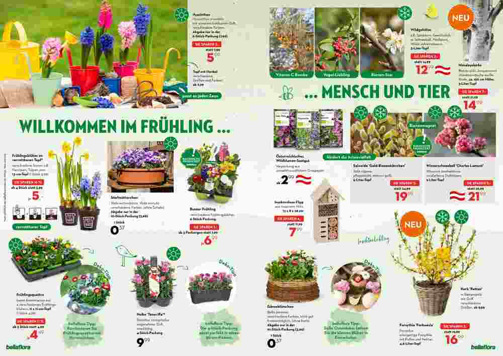 Bellaflora Flugblatt (ab 07.03.2024) - Angebote und Prospekt - Seite 2