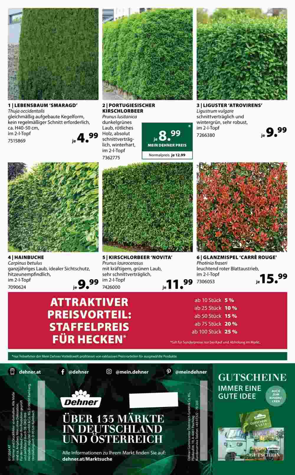 Dehner Flugblatt (ab 12.03.2024) - Angebote und Prospekt - Seite 16