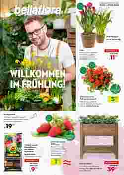 Bellaflora Flugblatt (ab 20.03.2024) - Angebote und Prospekt