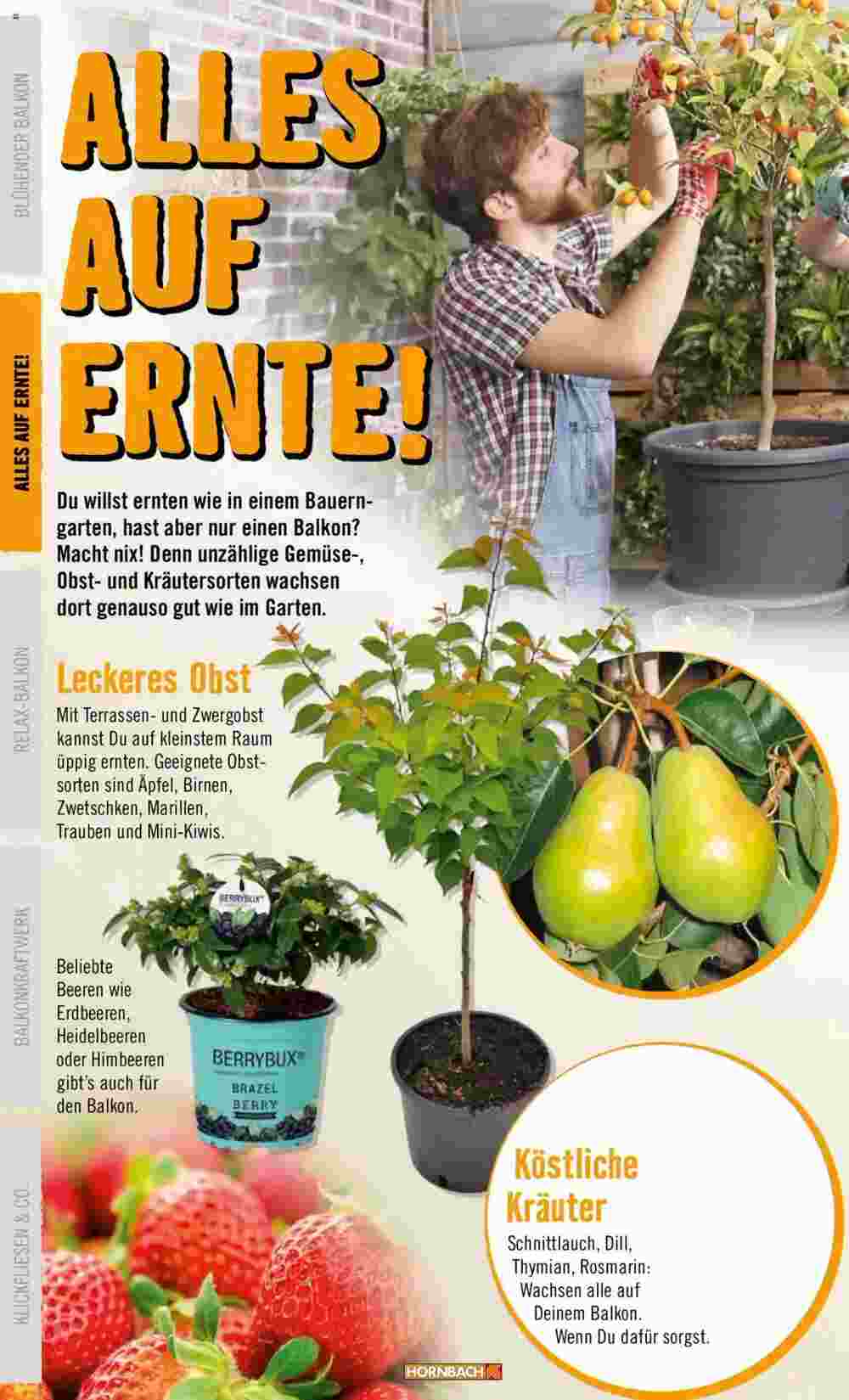 Hornbach Flugblatt (ab 09.04.2024) - Angebote und Prospekt - Seite 10