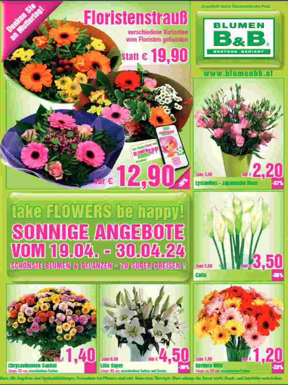 Blumen B&B Flugblatt (ab 18.04.2024) - Angebote und Prospekt - Seite 2