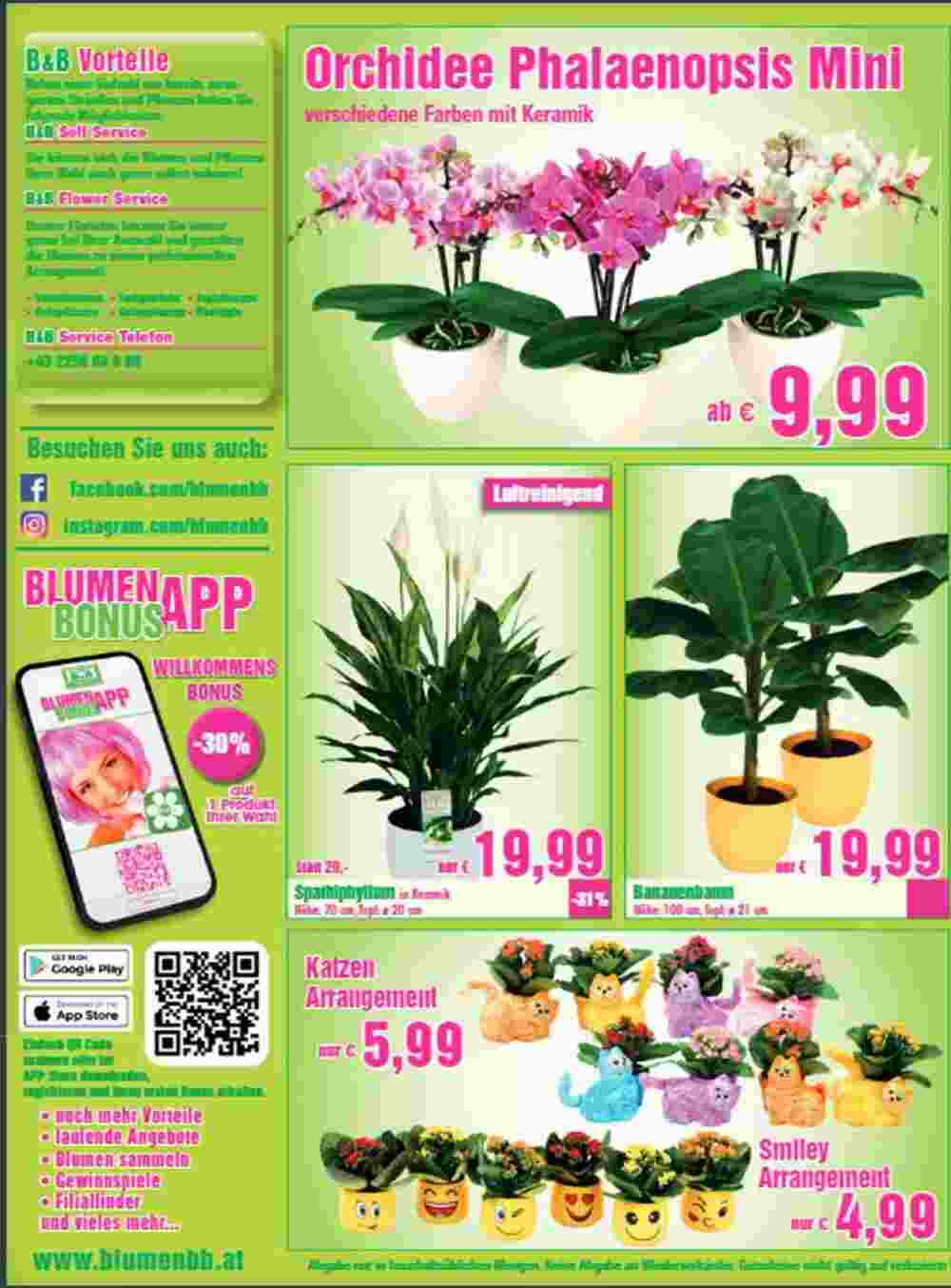 Blumen B&B Flugblatt (ab 18.04.2024) - Angebote und Prospekt - Seite 3