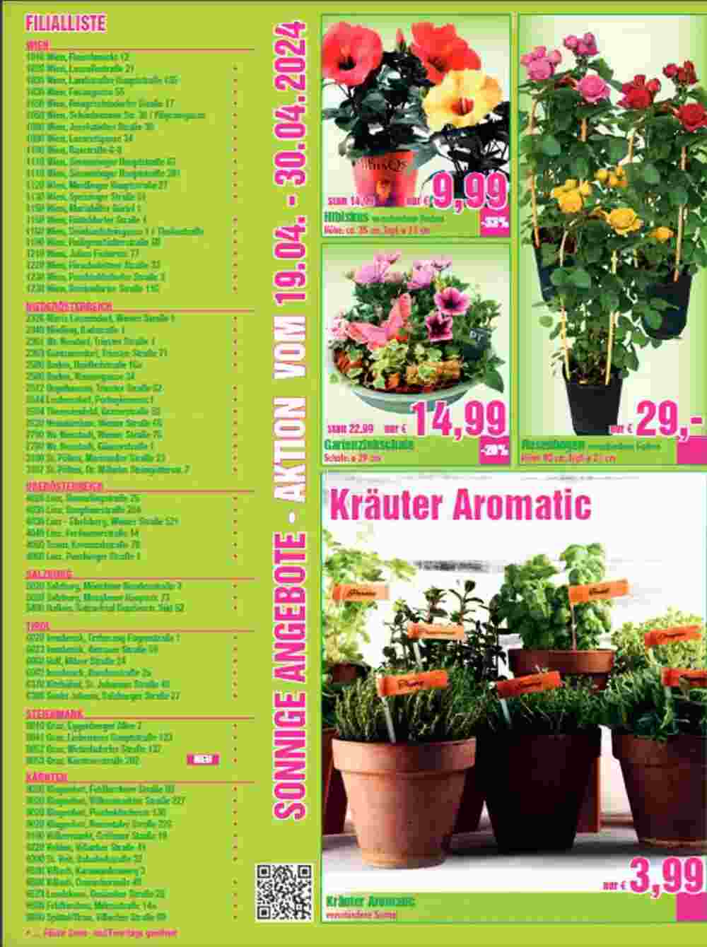 Blumen B&B Flugblatt (ab 18.04.2024) - Angebote und Prospekt - Seite 6