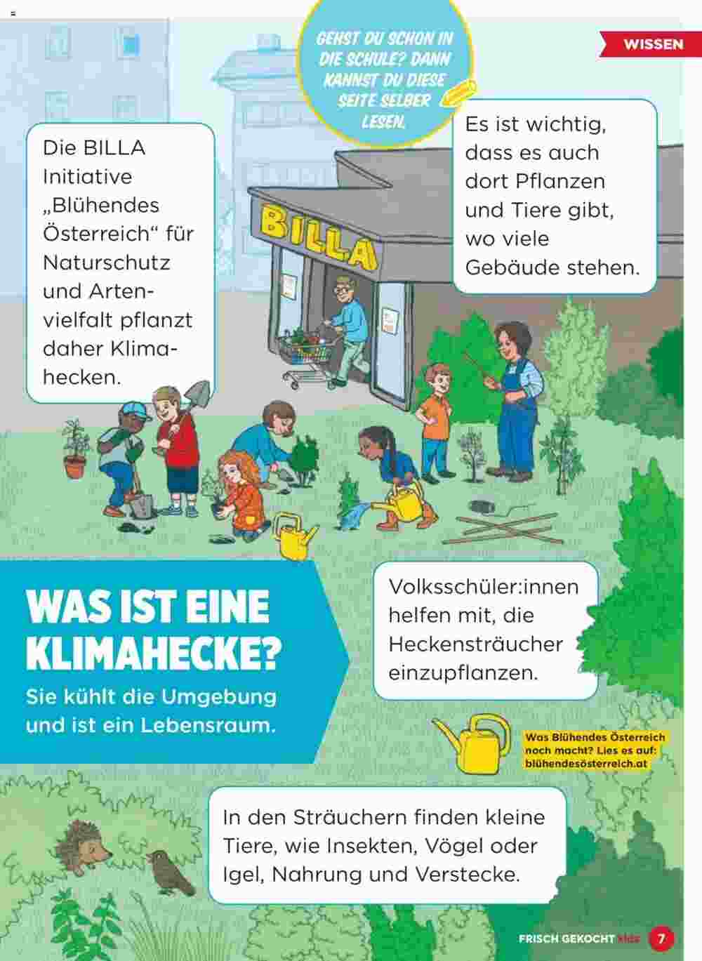 Billa Flugblatt (ab 01.05.2024) - Angebote und Prospekt - Seite 7